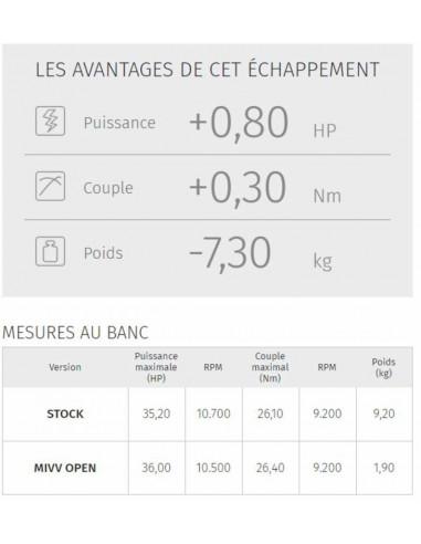 Silencieux MIVV GP inox noir casquette carbone Yamaha MT-03