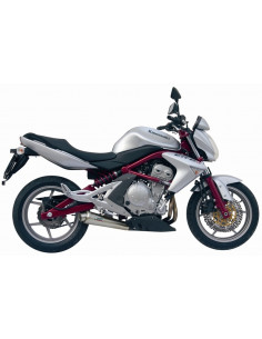 Silencieux MIVV X-Cone inox brossé Kawasaki 2