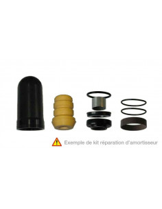 Pièce détachée - KIT REPARATION D'AMORTISSEUR KYB 46/16MM KXF250 04-05/RM250 01-03 RMZ250 04-06