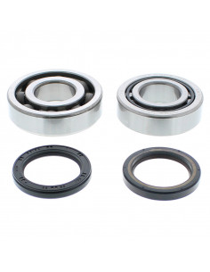Kit roulements et joints spi de vilebrequin HOT RODS - Honda CRF 450 2