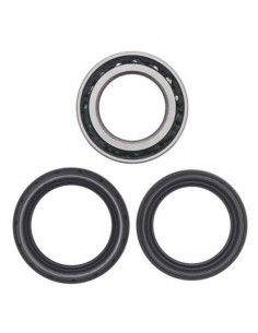 Kit roulements de roue arrière ALL BALLS Honda Fourtrax Rincon 650/Honda TRX680 Rincon