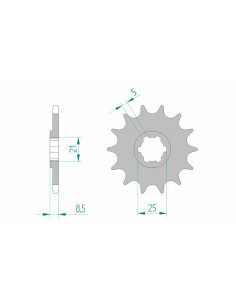 Pignon AFAM acier standard 24302 - 520