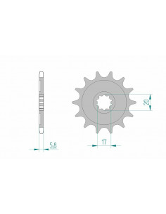 Pignon AFAM acier standard 24304 - 520