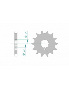 Pignon AFAM acier standard 24504 - 530