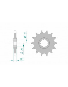 Pignon AFAM acier standard 21606 - 525