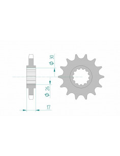 Pignon AFAM acier standard 20603 - 530