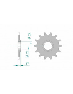 Pignon AFAM acier standard 22505 - 520