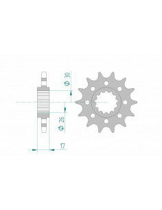 Pignon AFAM acier standard 20615 - 525