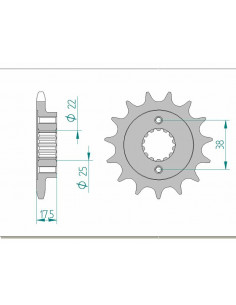 Pignon AFAM acier standard 52616 - 525