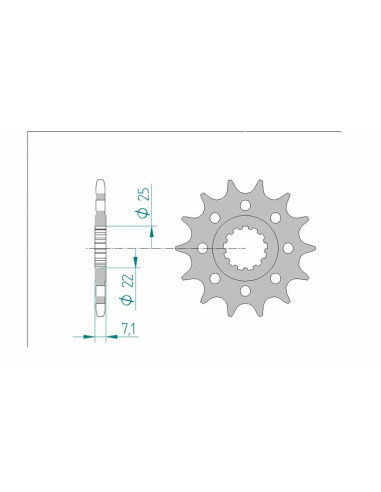 Pignon AFAM acier standard 24511 - 520