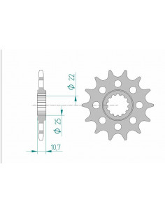 Pignon AFAM acier standard 21511 - 520