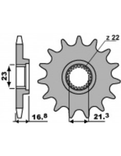 Pignon PBR acier standard 443 - 520