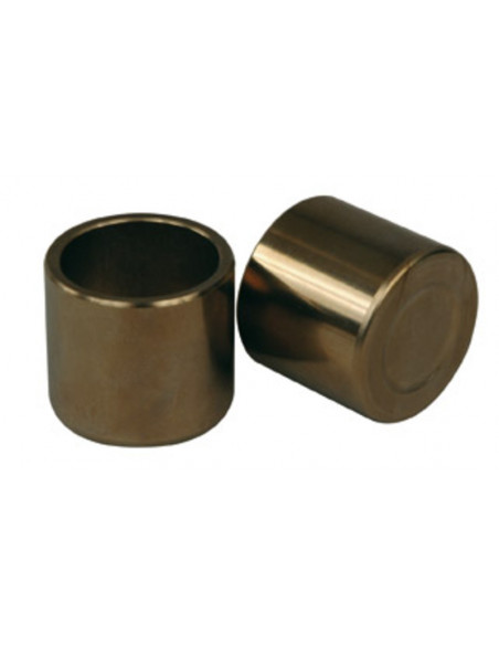 Pistons d'étrier ø34 mm Nissin