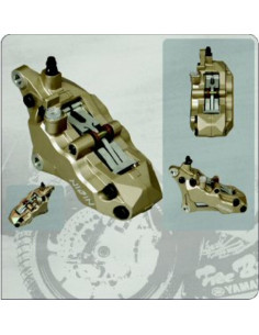 Etrier de frein 6 pistons avant gauche Or Nissin 2
