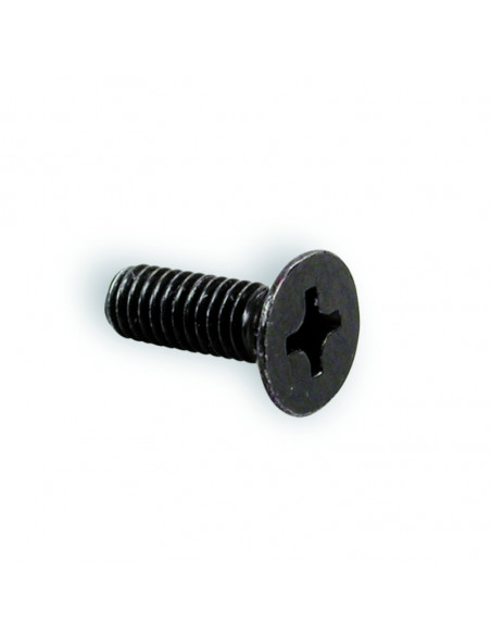 Vis de couvre maître-cylindre NISSIN M4x12 - 2 unités